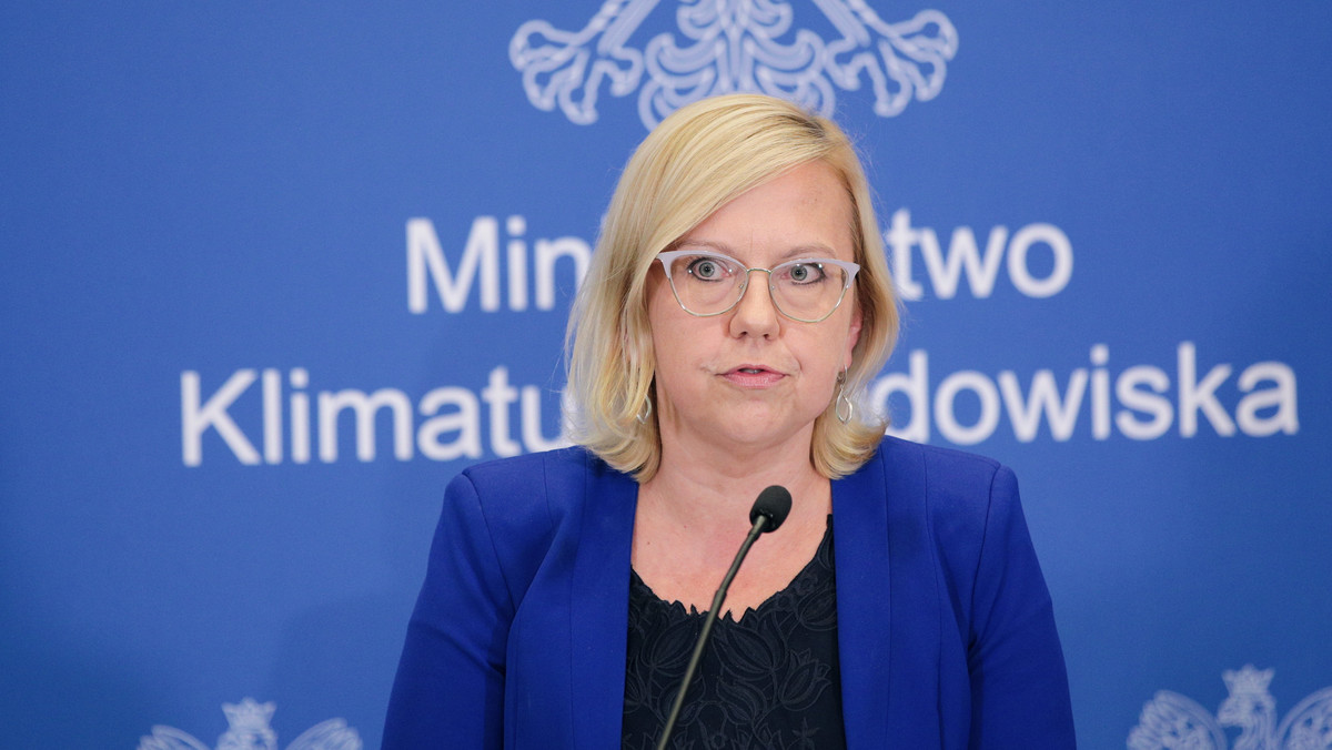 Minister klimatu: nikt nie powiedział, że węgiel będzie za darmo