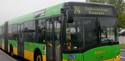 Wypoczynek nad jeziorem? Można pojechać autobusem