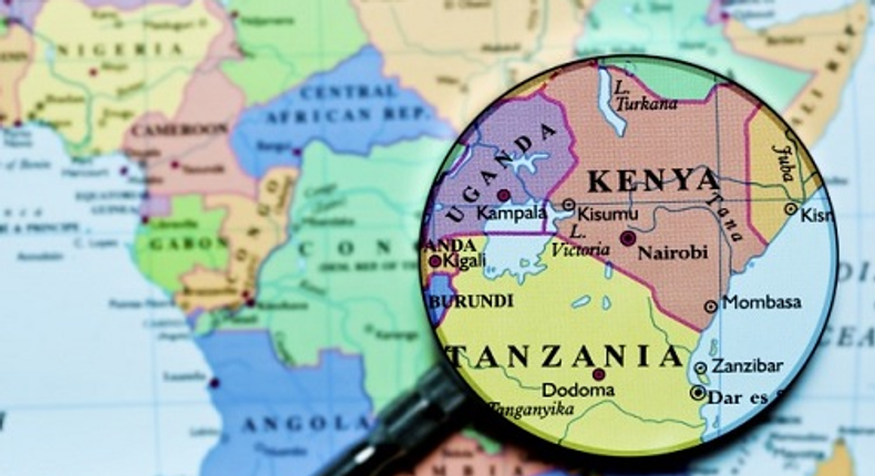 Officials raise alarm as 60% of Tanzania-Kenya wildlife corridors vanish