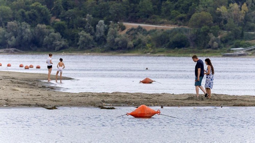 Retka prilika da se Dunav prepešači - prizor iz Novog Sada | Foto: REUTERS/Djordje Kojadinovic