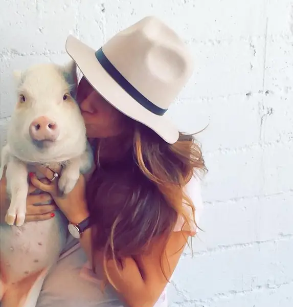 Instagram/@hamlet_the_pig