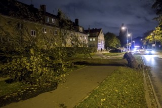 Tragiczne skutki wichur nad Polską: Dwie osoby nie żyją, tysiące ludzi bez prądu, wiele zniszczeń