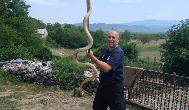 Mišo Pamučina