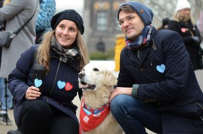 Psy z Golden Retriever WOŚP w Poznaniu podczas 31. Finału WOŚP fot. Codzienny Poznań