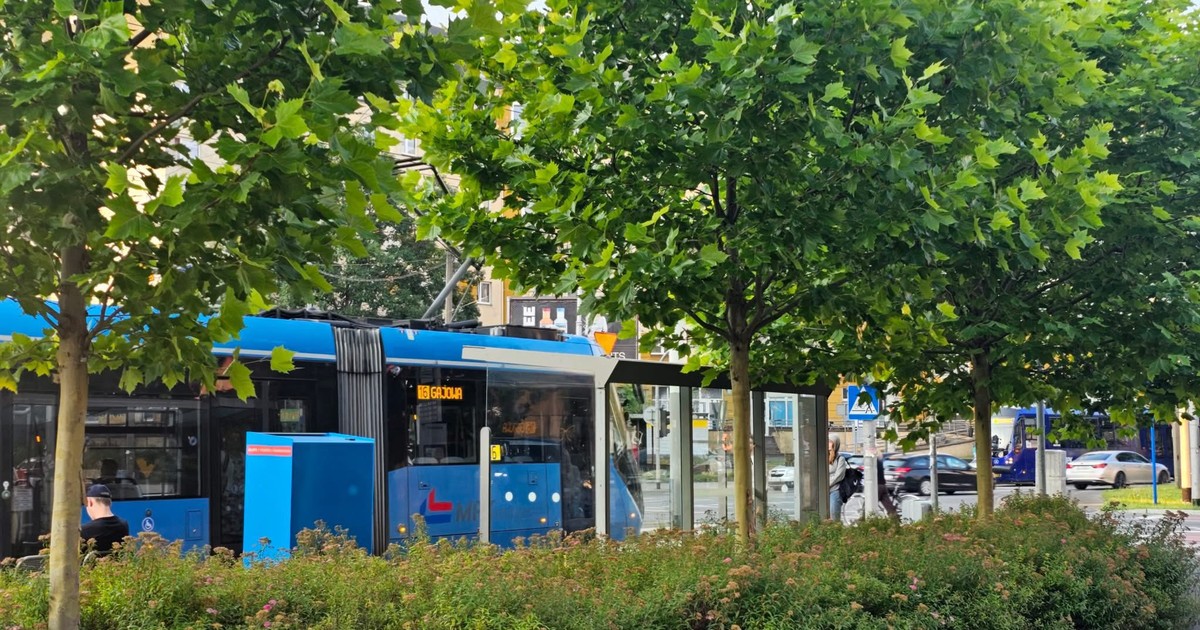 Wrocław, tu się oddycha! Kolejne przystanki zazielenione