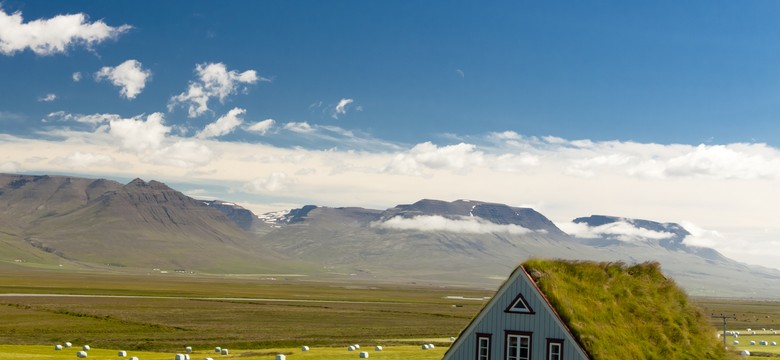 Domki jak z bajki o Muminkach. To Islandia