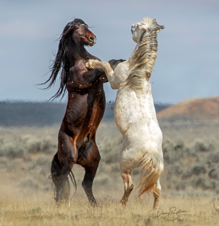 Danny Sullivan, "Doing the Tango"