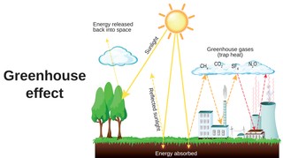 W walce z globalnym ociepleniem