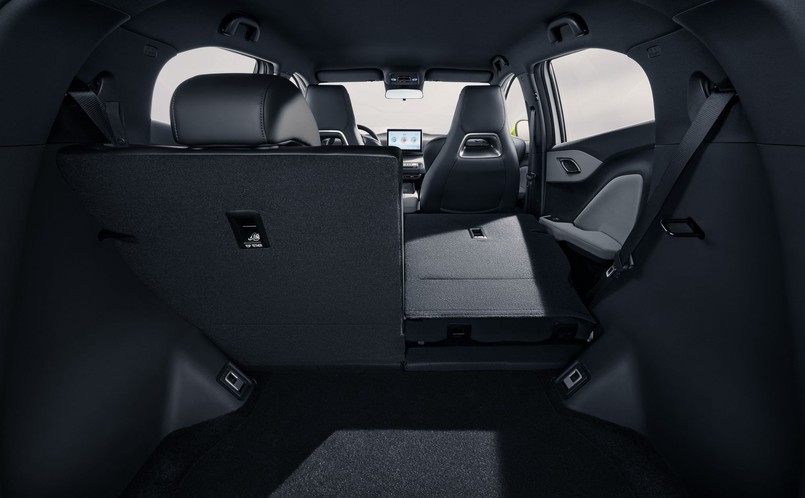 BYD Dophin Surf