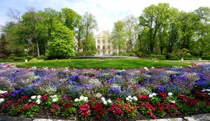 Bukovička banja