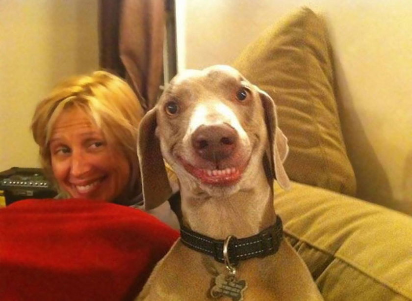 Tak wyglądają najszczęśliwsze psy na świecie