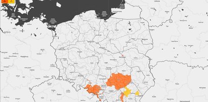 IMGW wydało ostrzeżenia I i II stopnia. Alerty w kilku województwach