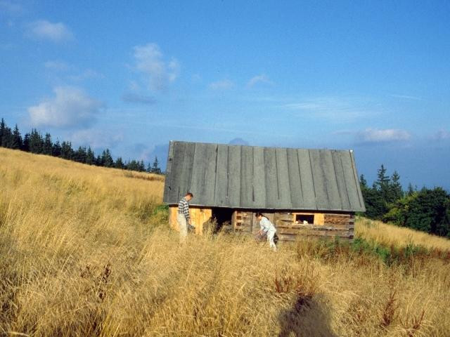 Galeria Najpiękniejsze góry Polski, obrazek 79