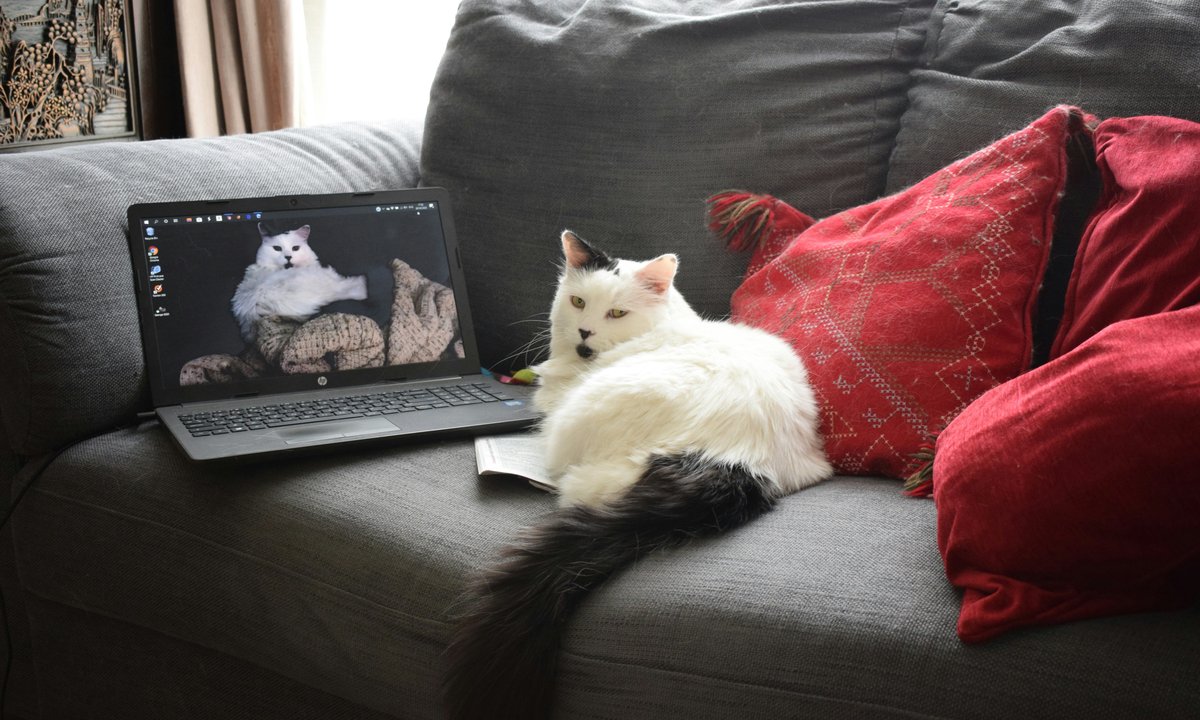 Myślisz, iż znasz seriale? Ten quiz gwałtownie zweryfikuje twoją pamięć