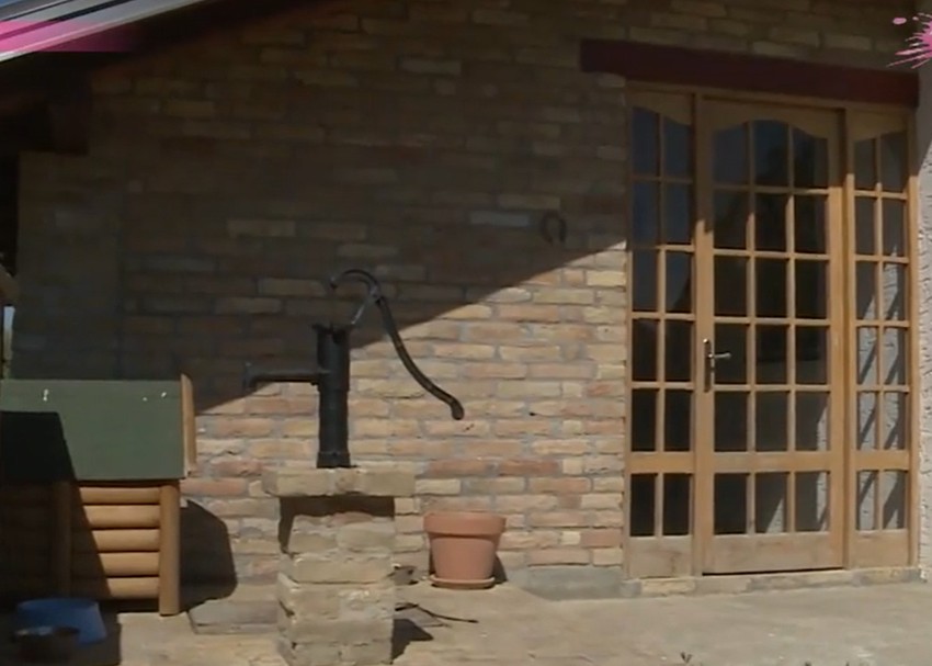 Nenad Čanak, salaš