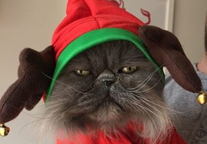 macka foto imgur bskyb3