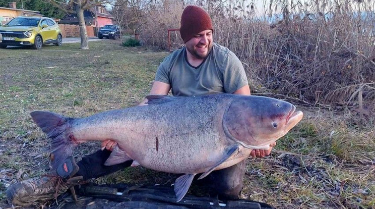 A busa tömege 56 kilogramm volt, a hosszát 133, míg a kerületét 104 centiméternek mérték/ Fotó: Pecaverzum