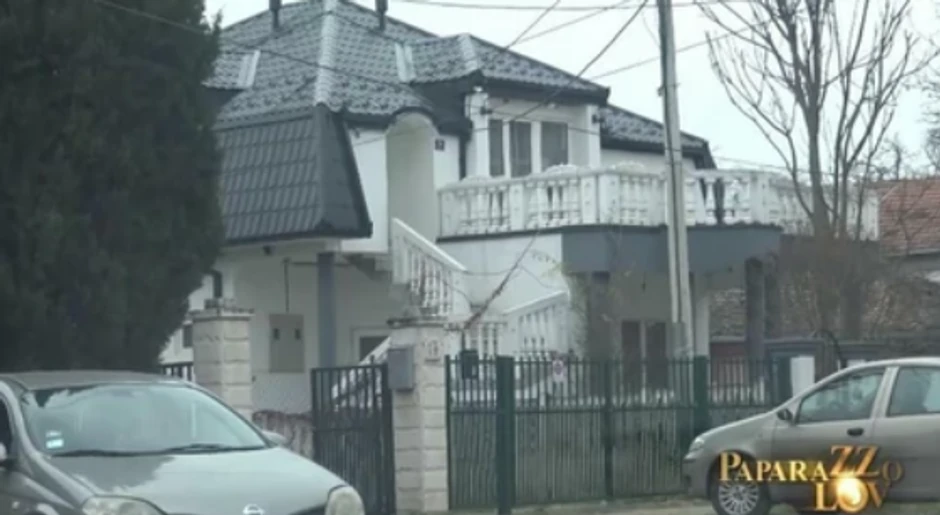 Branimir Nestorović, kuća