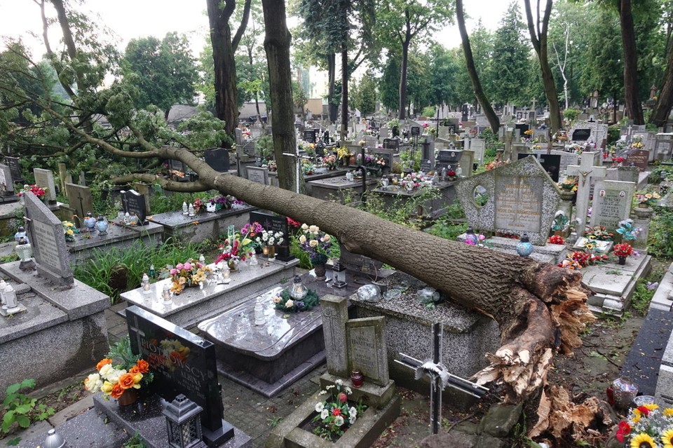 Skutki burz, które przeszły w poniedziałek nad Płockiem