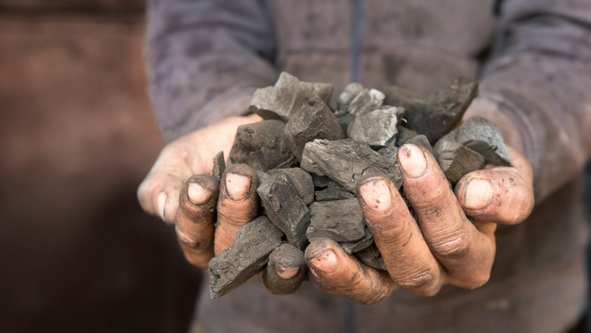 Polskie kopalnie węgla kamiennego pomimo zmniejszenia wydobycia i tak przynoszą straty. Do końca maja górnicy uzyskali 29 mln ton surowca, czyli o 6 procent mniej niż w tym samym okresie w zeszłym roku.