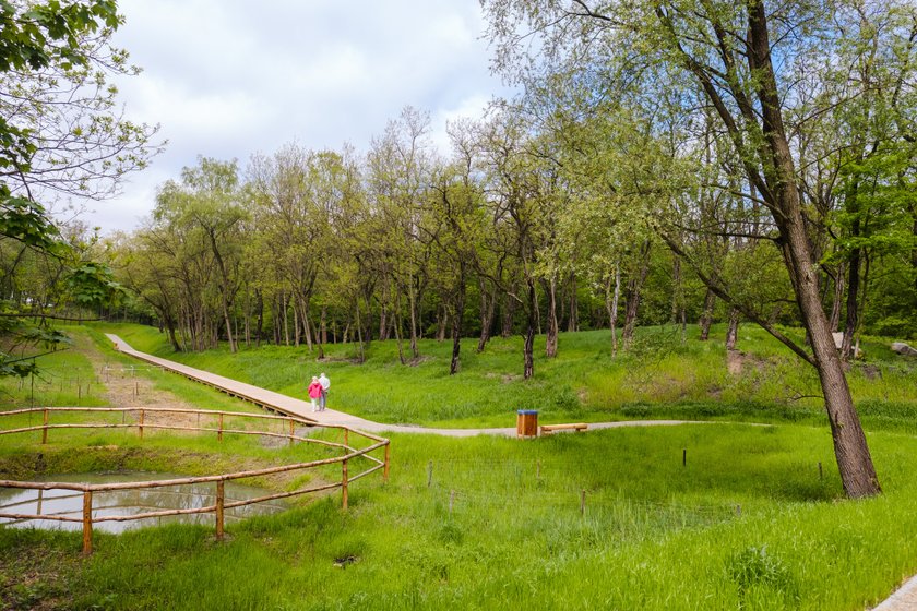 Park Tysiąclecia przeszedł metamorfozę