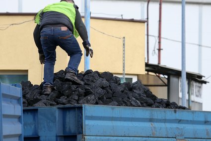 Węgiel przez internet. Polacy rzucili się na nową usługę