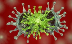 MZ: za kilka dni omikron będzie dopowiadał za wszystkie przypadki notowane w Polsce