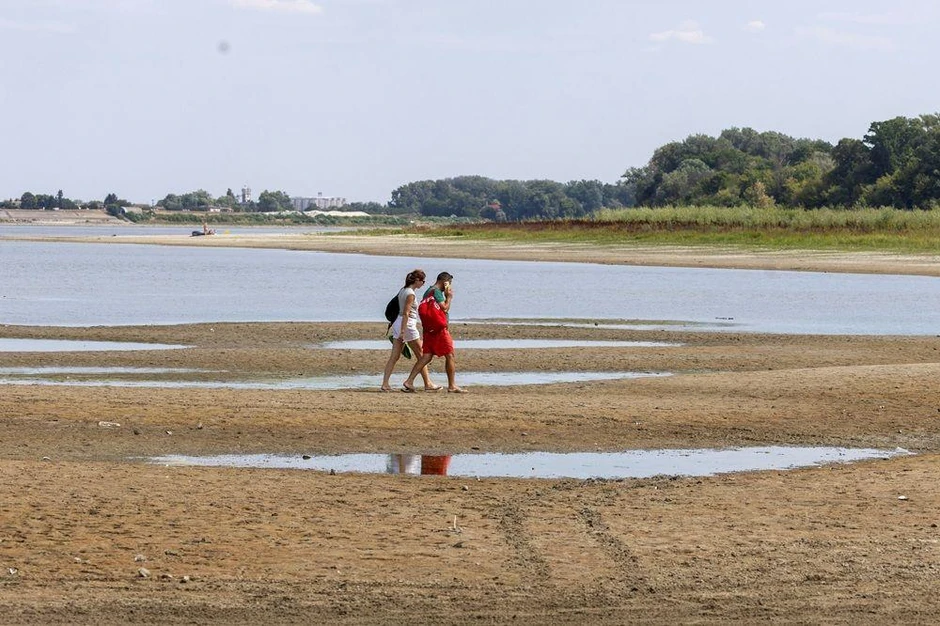 I u Apatinu Dunav na nekim mestima može da se prepešači | Foto: REUTERS/Djordje Kojadinovic