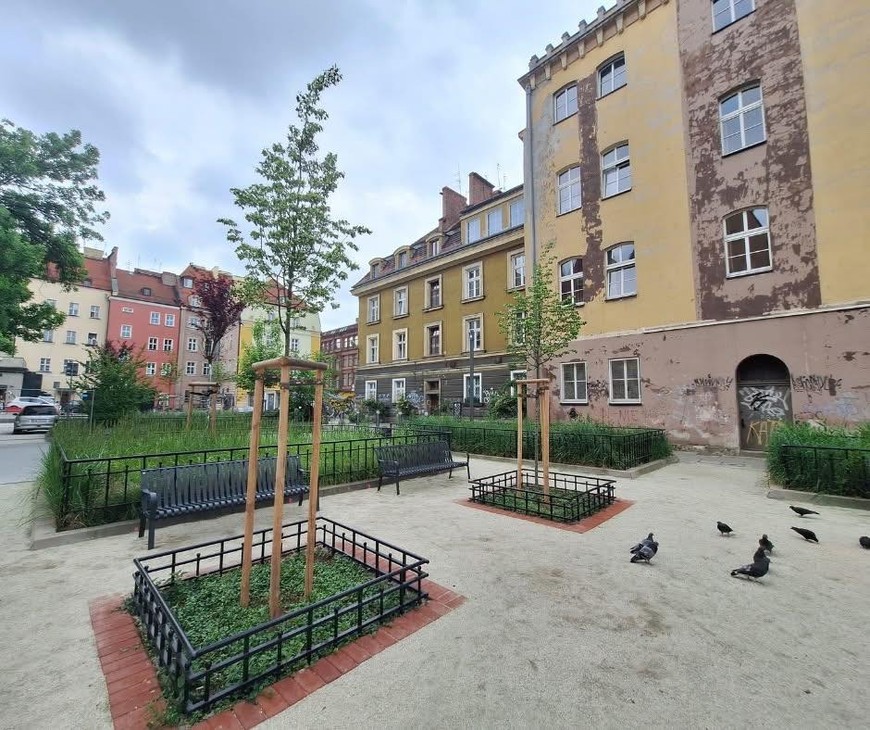 Posadzono na podwórku głogi i lipy. Gatunki wskazał konserwator zabytków