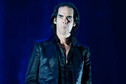 Nick Cave (fot. Monika Stolarska / Onet)