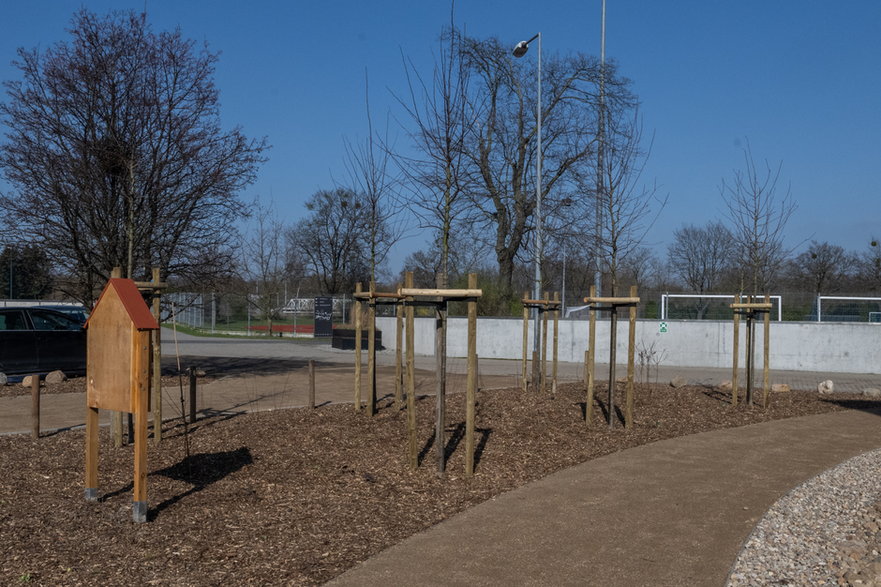 Tu był nielegalny parking. Teraz będzie łąka kwietna z domkami dla owadów oraz liczne kwiaty