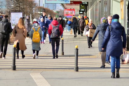 Dyrektor Wedla przejechał się po polskich emeryturach. Mówi, że liczą na nie "naiwni"