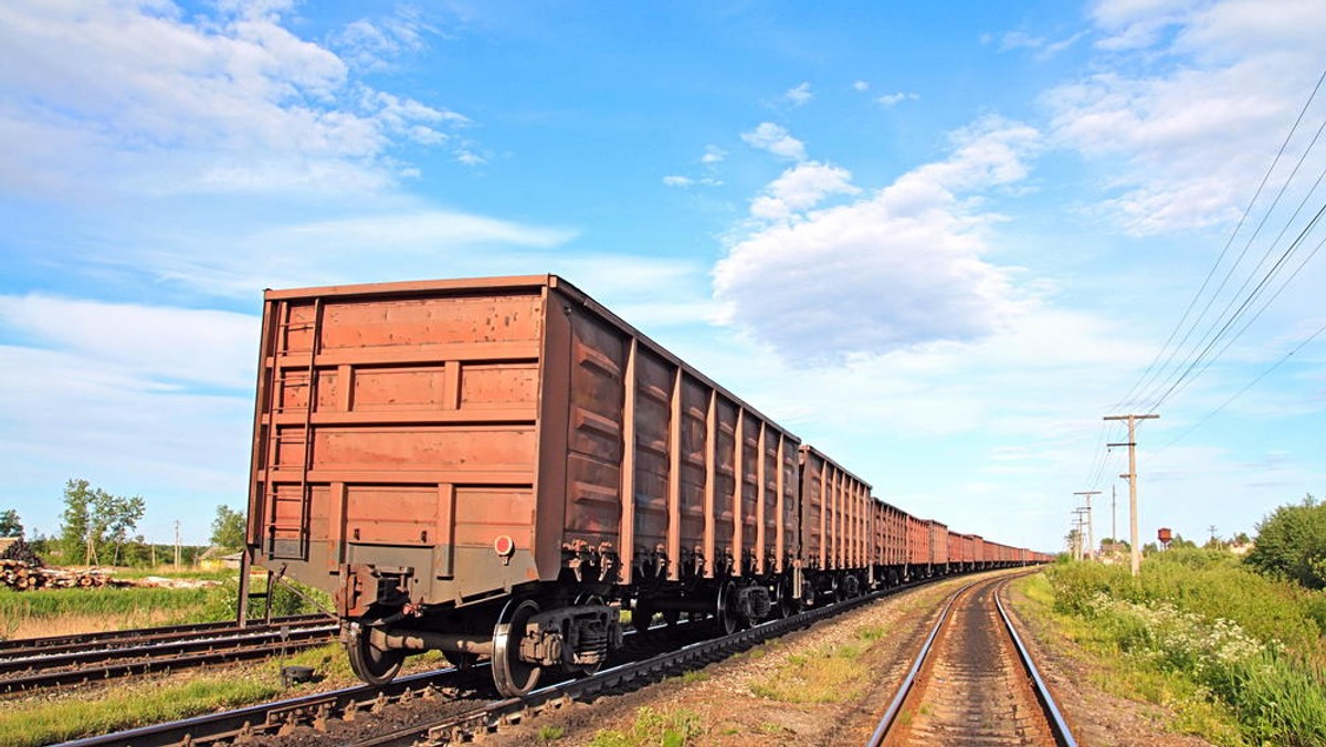 Ruszyła modernizacja części linii Rail Baltica na odcinku Tłuszcz–Szewnica - poinformował Maciej Dutkiewicz z PKP Polskie Linie Kolejowe. Remont całej trasy między Warszawą a stacją Sadowne ma skrócić podróż ze stolicy do Białegostoku o 20 minut.