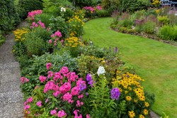 Najpiękniejsze byliny wieloletnie długo kwitnące zimujące w gruncie. Kwiaty wieloletnie do ogrodu bez wykopywania