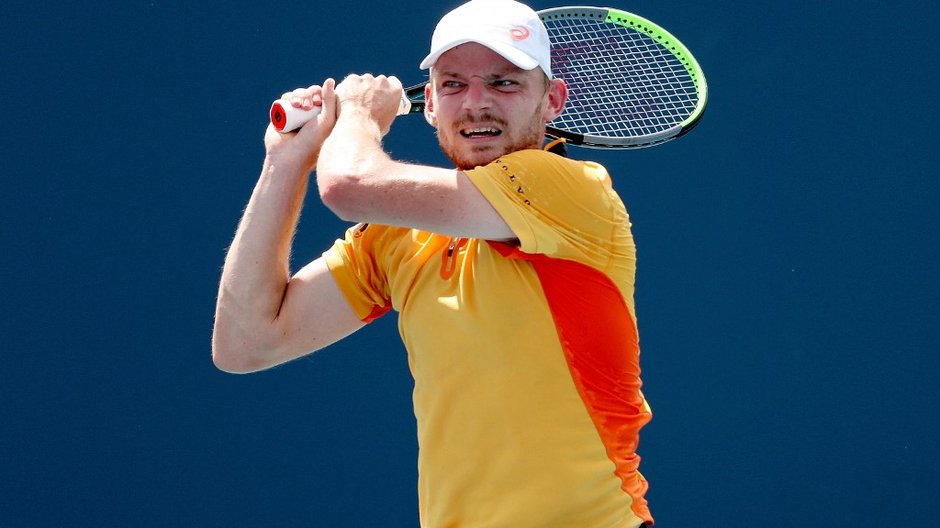 David Goffin