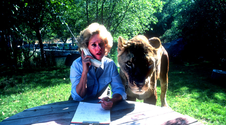 A színésznő Tipi Hedren egy oroszlánnal élt együtt / Fotó: Getty Images
