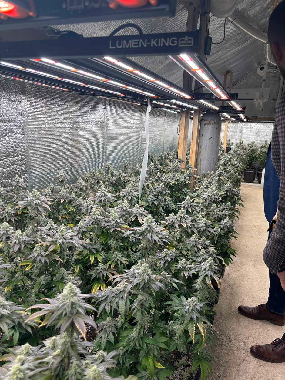 IMG-5d91319ca5a84736768482a38b2f99e7-V