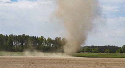 Oto małe tornado. Gdzie tym razem pojawił się "diabeł pyłowy"?