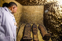 W Egipcie zaprezentowano dobrze zachowane mumie sprzed 2 tys. lat