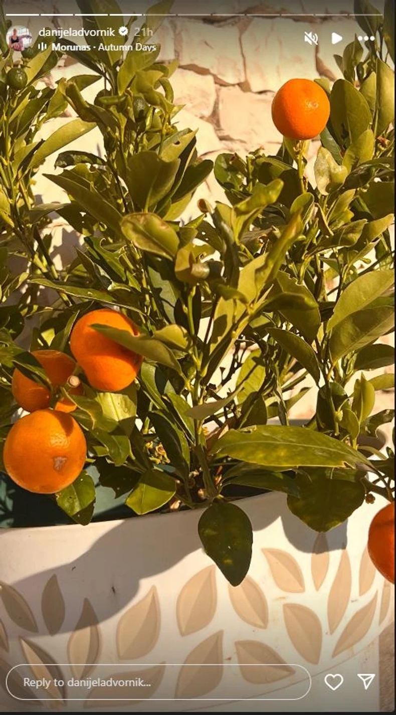 Danijela Dvornik pokazala dvorište