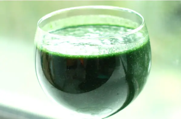 spirulinnna