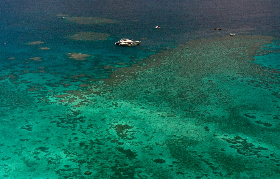 Veliki koralni greben