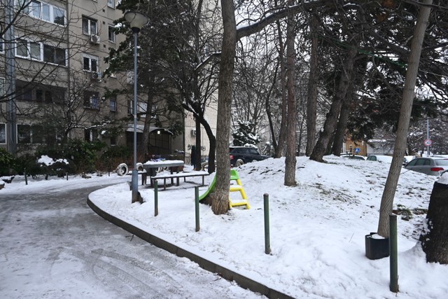 Komšije Jovanke Jolić