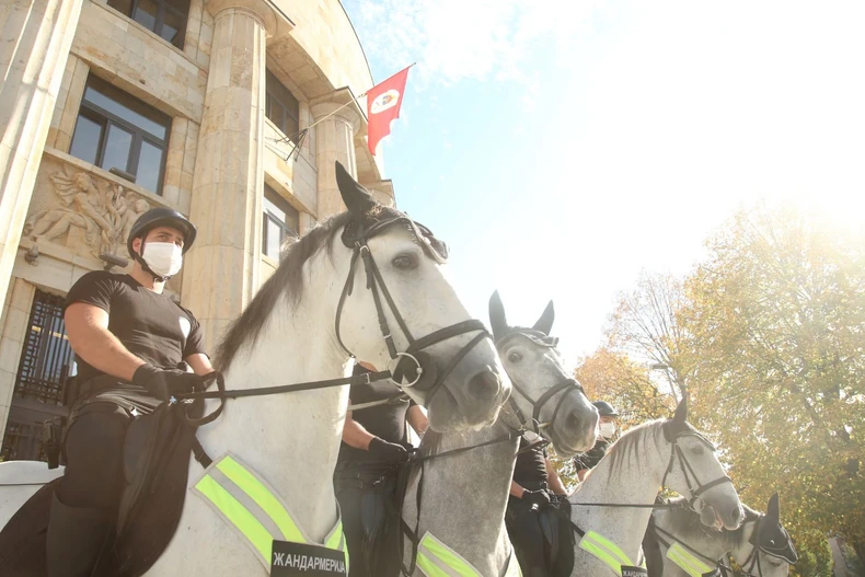 Svi konji su autohtona pasmina lipicaneri