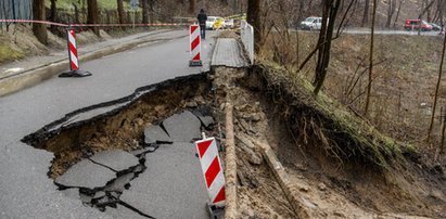 Masowo wycięli drzewa. Skarpa omal nie zabiła mieszkańców