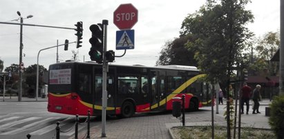 Samotny trzylatek bawił się resorakami przy ruchliwej ulicy. Zareagował kierowca autobusu