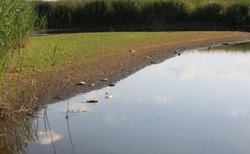 Wojewoda: Nie ma podwyższonego poziomu rtęci. Stan klęski żywiołowej? Niepotrzebny