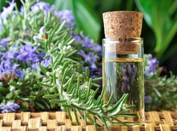 Olejek rozmarynowy poprawia pamięć