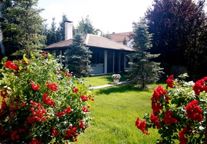 Dragica Radosavljević Cakana