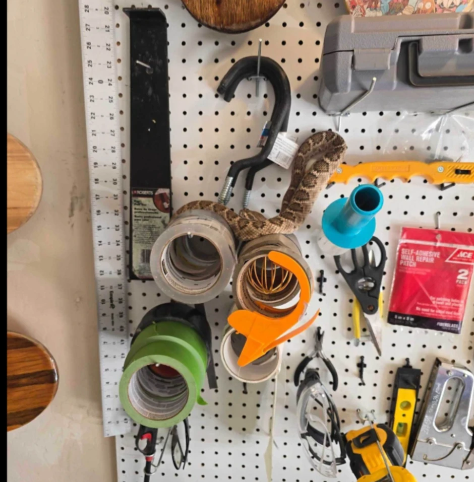 Zvečarka među alatom